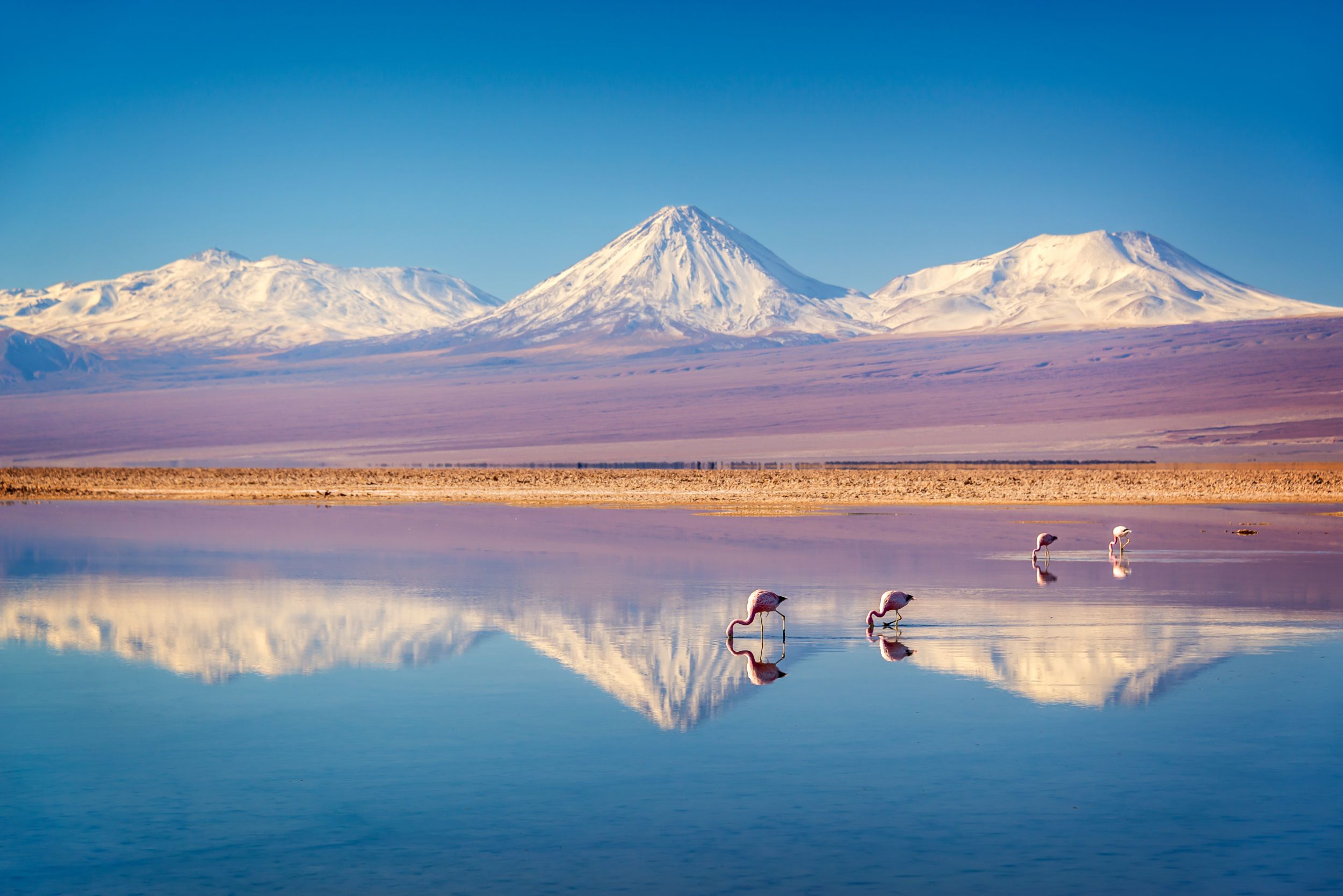Northern Argentina, Chile & Uyuni Salt Flats Adventure
