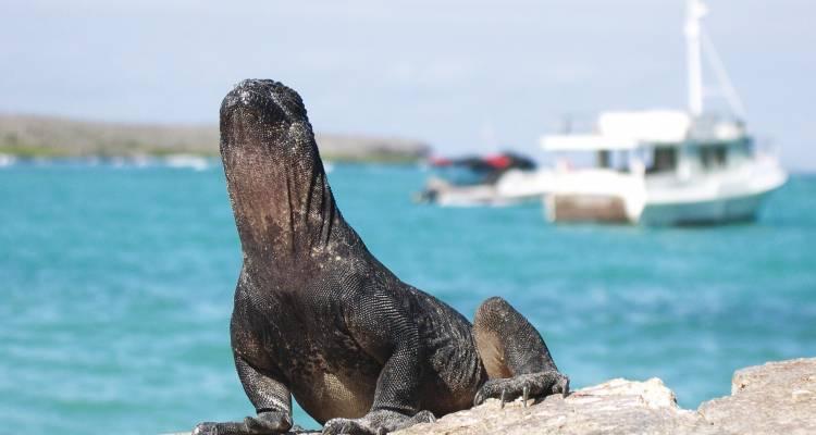 Highlights of the Galapagos - 14 days