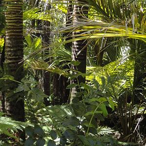 Mysteries of the Inca Empire with Peru's Amazon & Arequipa & Colca Canyon