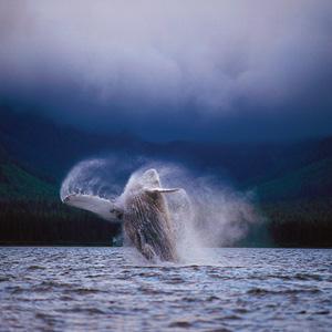Grand Western Canada Vacation with Alaska Cruise
