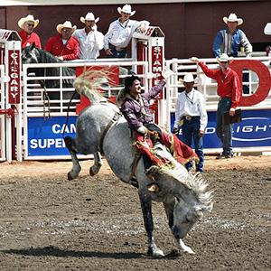 Majestic Rockies with the Calgary Stampede