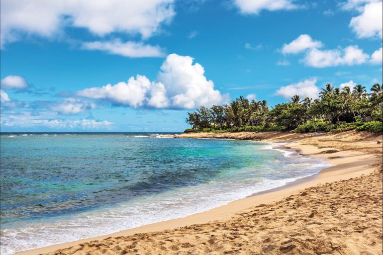 Hawaii with Oahu & Maui (With the Big Island, Classic)