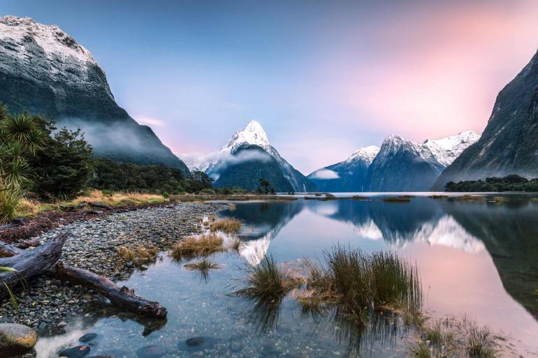 Contrasts Of New Zealand (Christchurch)