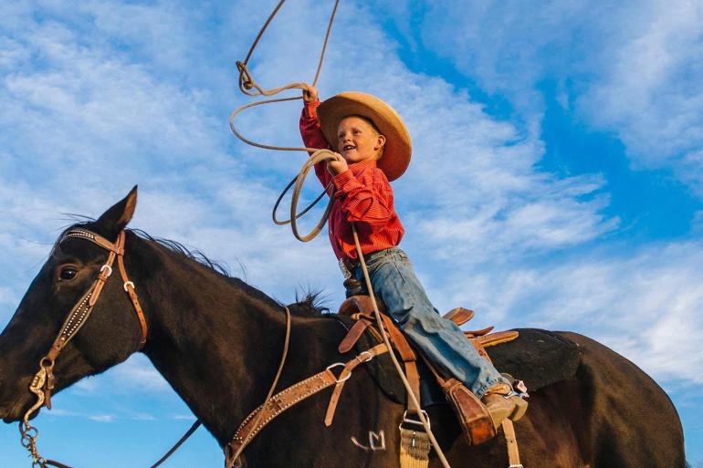 Wild West, Cowboys and Buffalos (Denver, No Train)