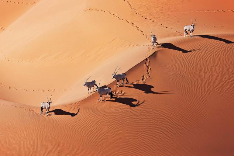Namibia Adventure