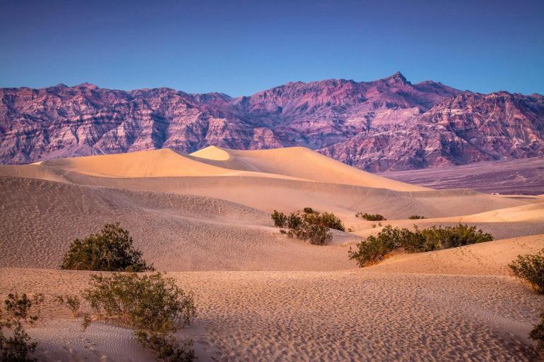 America's Great Desert National Parks (Phoenix)