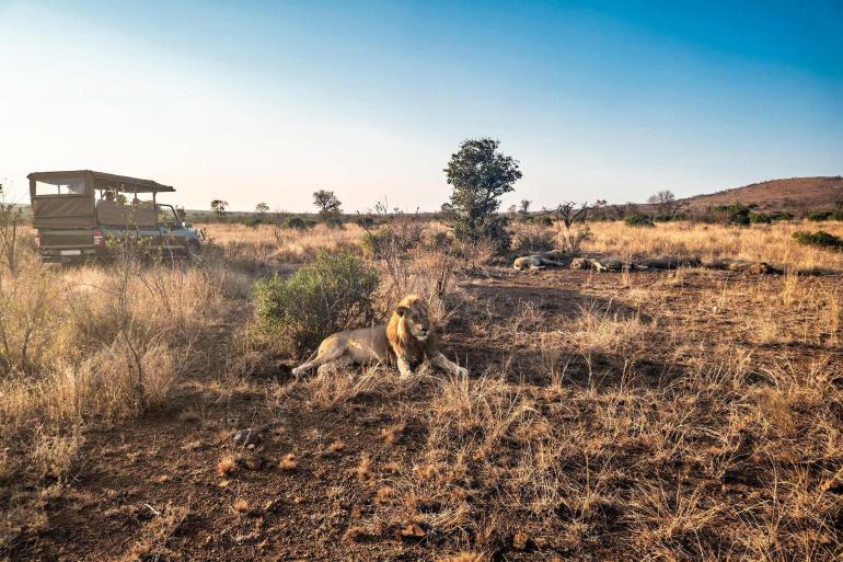 Best of South Africa (with Victoria Falls)