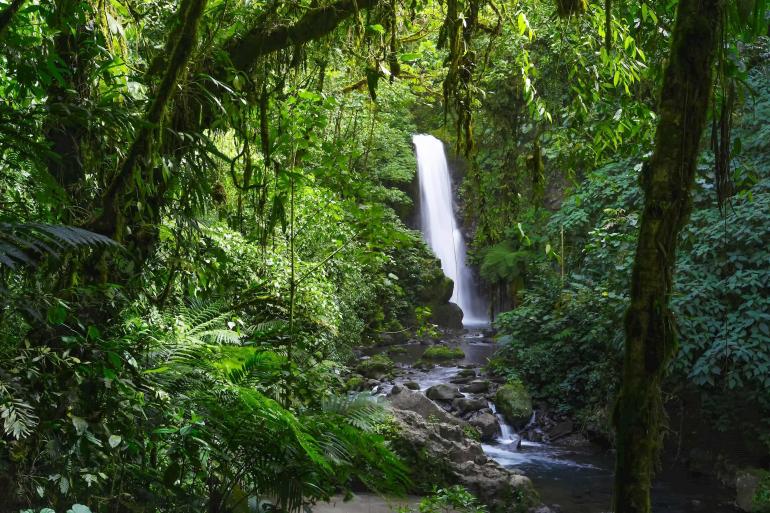 Costa Rica Adventure